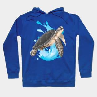 Marine Turtle Hoodie